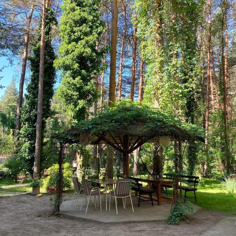 Vila Dunavski Raj Golubac Exteriör bild